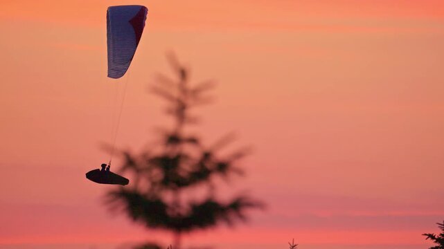 paraglider silhouette at sunset in Hanstholm, Denmark