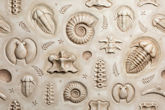 A detailed seamless pattern featuring various prehistoric fossils like trilobites, ammonites, and plant leaves embossed on a beige stone surface