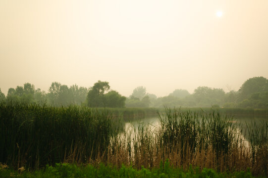 Wildfire smoke fills the sky over a wetland in Illinois