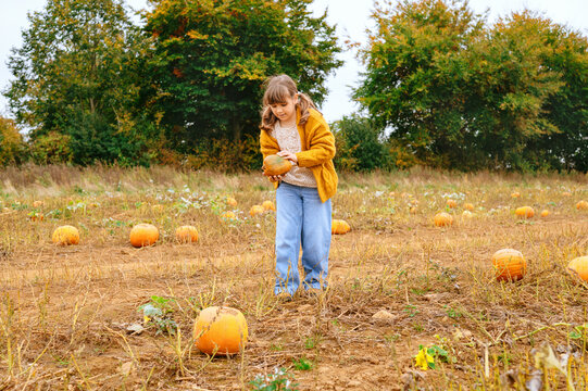 Child girl carrying pumpkin while walking through autumn pumpkin patch