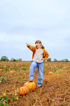 Child girl pointing across pumpkin patch