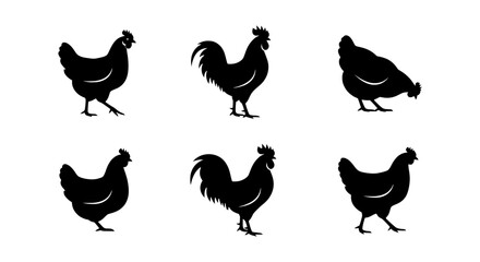 Fototapeta premium Rooster and Hen Silhouettes, Farm Animal Icons, Poultry Vector Graphics, Black and White