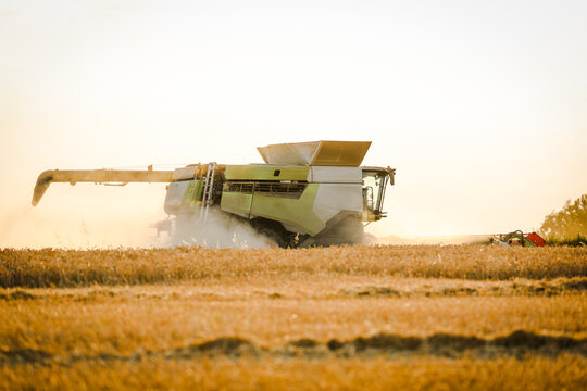 Combine harvester harvesting a field of wheat during summer harvest