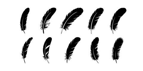 Bird Feather silhouette vector set. bird feather vector illustration icon isolated on white background, Bird Feather silhouette vector set. bird feather vector illustration icon isolated on white back © IsratJahan