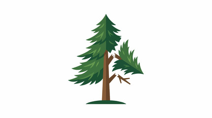 A flat vector illustration of a broken pine tree icon. Broken pine tree icon. Damaged evergreen conifer illustration on white background. © Ikaiku