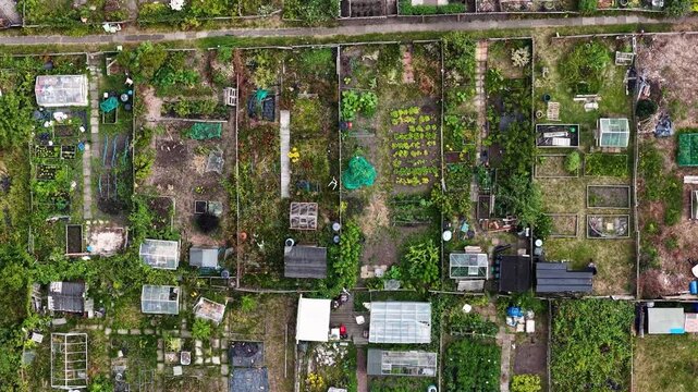 Ascending aerial footage over allotment gardens in Benwell Newcastle upon Tyne revealing vegetable plots greenhouses sheds and cultivated growing spaces from directly above within an urban community