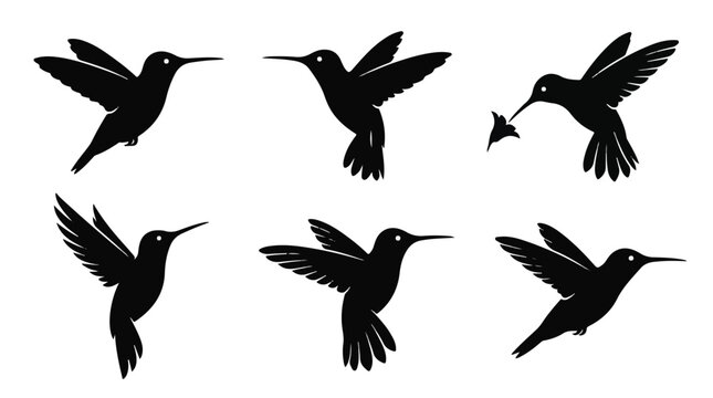 A set of six hummingbirds silhouette vector icon illustrations on a white background
