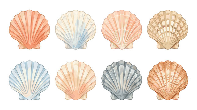 Scallop seashells watercolor texture pattern showing coastal marine nature beach summer decoration soft pastel shell design for fabric print decor for poster web banner article presentation