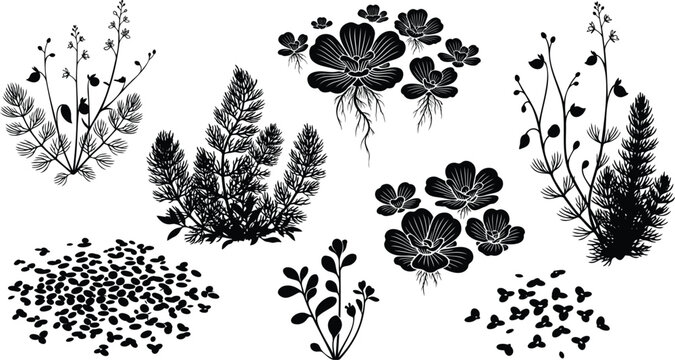 Black silhouette collection of aquatic water plants