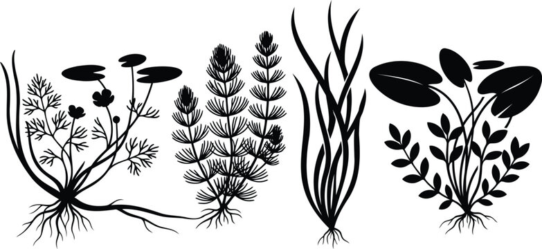 Set of black aquatic plants and water weeds silhouettes