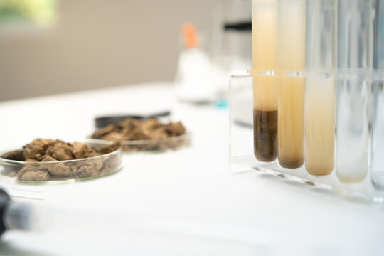Geology, geological resource scientist, earth science, natural resource sustainability, soil minerals, laboratory testing, laboratory experiments, testing for chemical residues, Environmental science