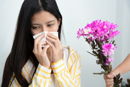 Flower pollen allergy, Asian girl rejects flowers, allergic to wild flowers or blooms in spring Severe allergy Respiratory problems, runny nose, runny nose, itching