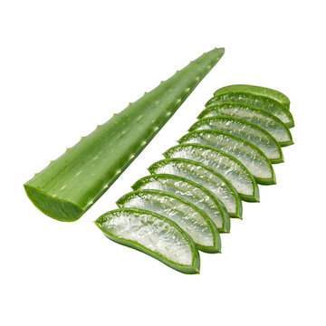 aloe vera slices, png