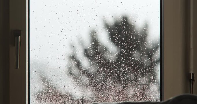 Raindrops falling and clinging to window glass frame during rainy stormy weather with blurred tree in background
