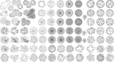 Obraz premium Top View Plant and Tree Symbols for Landscape Architecture and Garden Design Plans