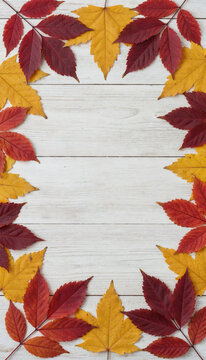 Autumn Leaf Border: A vibrant border crafted from colorful autumn leaves, in hues of red, orange, and yellow, frames a rustic wooden background, evoking the essence of fall and harvest season.
