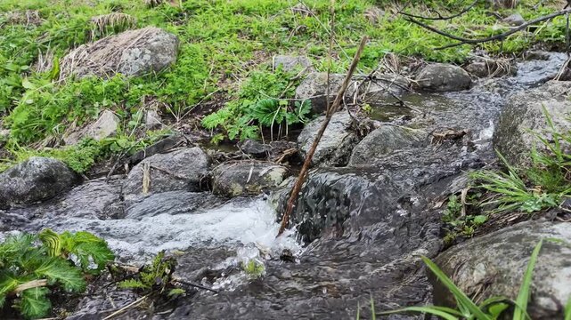 Clear mountain stream flowing over smooth rocks in Svaneti Georgia, refreshing nature, peaceful water movement, tranquility, ecology, environment