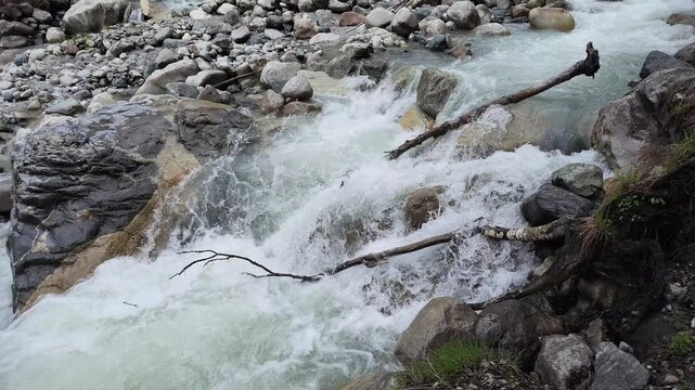 Fast flowing mountain river in Svaneti Georgia with rushing white water, rocky riverbed, fallen branches, nature wilderness landscape, peaceful outdoor scenery