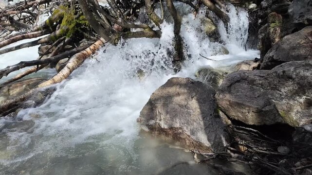 Fast mountain stream flowing over dark river rocks and fallen tree logs in Svaneti, Georgia, nature landscape, outdoor adventure, water energy