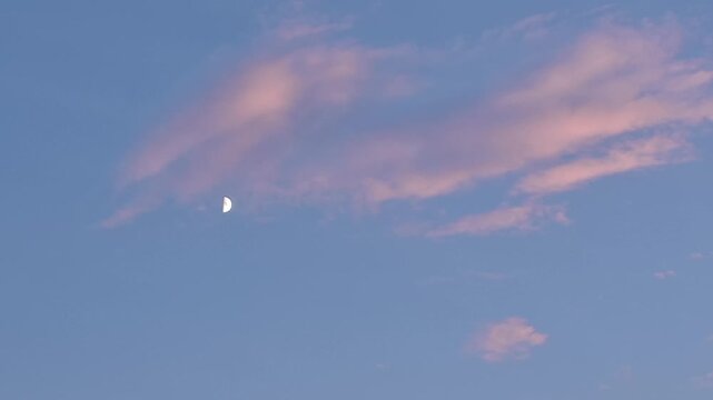 Pink clouds in the evening and the first quarter of the moon on a blue sky