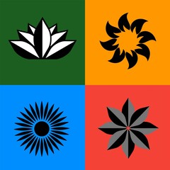 Obraz premium set of vector floral elements