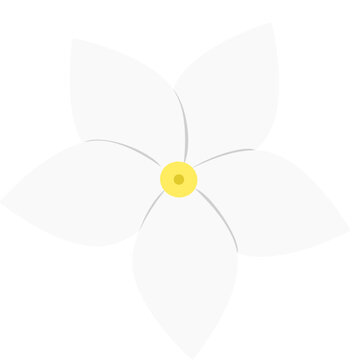 White Jasmine Flower Icon Vector Illustration 