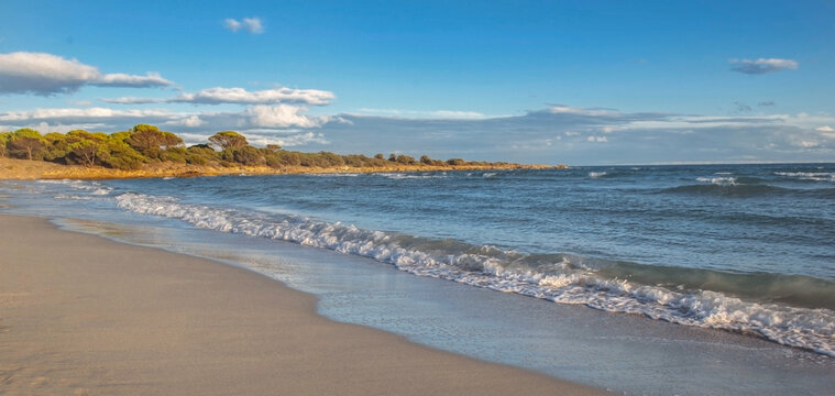 view on the clue sea on italian beach in Sardinia island beachwith forest background