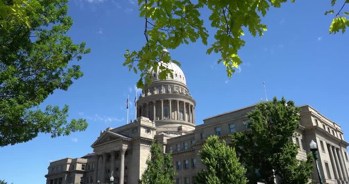 Idaho State Capitol viewed through hanging tree branch, Boise Idaho