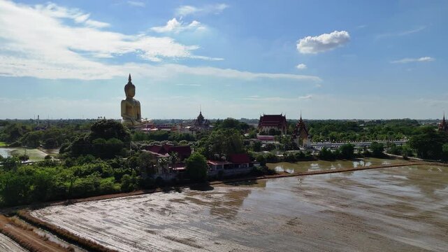 Aerial orbital panoramic of the Golden Buddha in Ang Thong and the grand Wat Muang temple, Thailand. Rice fields in the background