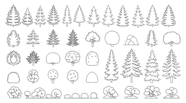 Architectural Tree and Shrub CAD Block Collection with Landscape Elevations