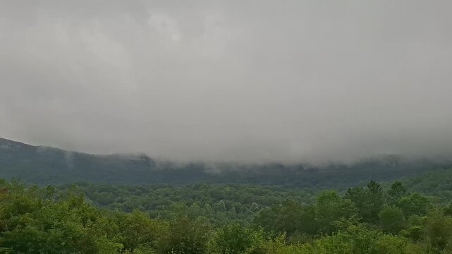 Scene of the mountain and forest in the fog in the morning