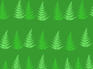 Obraz premium Green Pine Tree Repeating Forest Pattern