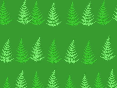 Green Pine Tree Repeating Forest Pattern