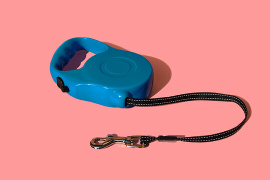 Retractable pet leash on colored background