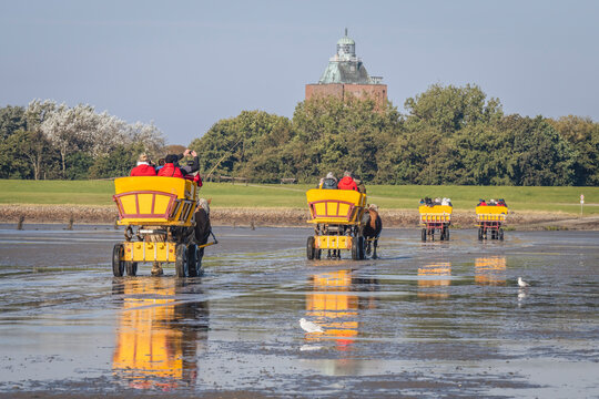 Germany, Hamburg, Horse carriages crossing mud flat at Neuwerk island