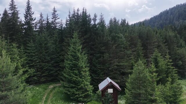 ​Aerial drone pedestal shot rising over a small wooden cabin  in a dense pine forest, Rhodope mountains, Bulgaria