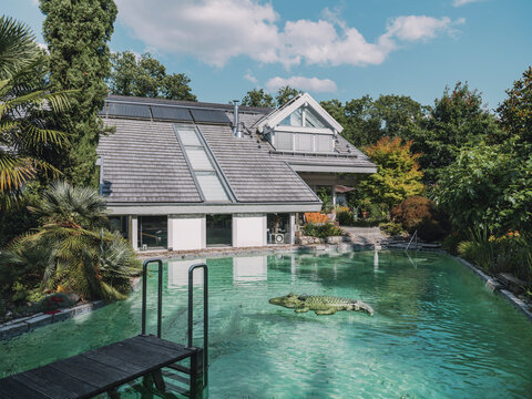 Luxury timber frame villa with green garden and swimming pool