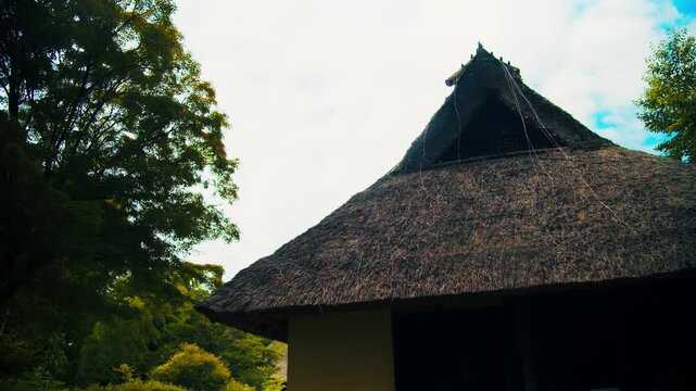 青空と緑の木々に映える茅葺き屋根の歴史ある古民家 4Kシネマティック映像素材