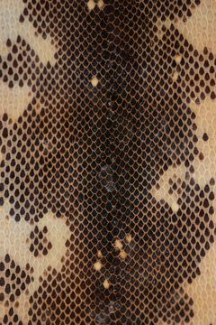 full frame vertical closeup of a python skin texture with intricate dark and light hexagonal scales in a repeating pattern, concept of wildlife nature, reptile biology, abstract background