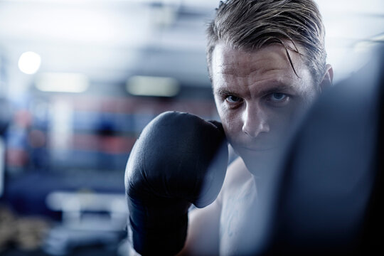 Boxer fighting