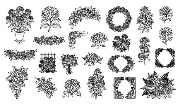Hydrangea Bush Line Art Collection with Elegant Botanical Floral Outline Vector Set