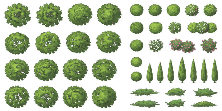 Set of top view trees and bushes for architectural landscape design plan and garden site mapping project