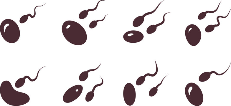 Fertilization process illustrated with sperm cells approaching an ovum isolated on transparent background