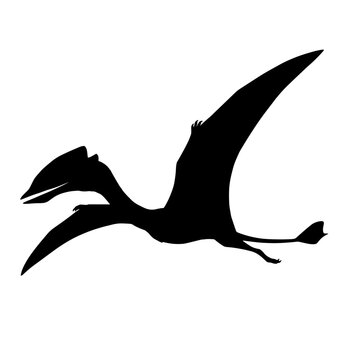 Silhouette of a flying pterodactyl dinosaur in profile.