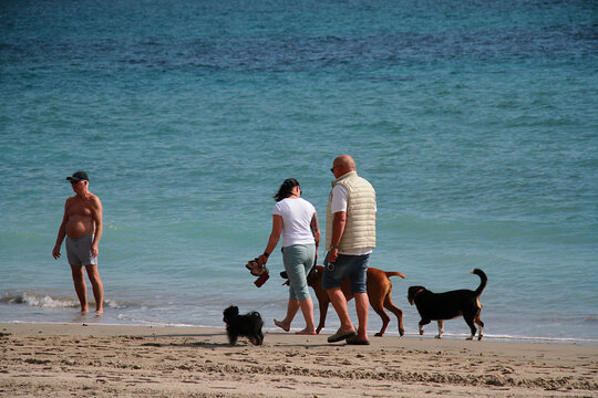 Paseo por orilla del mar familia y perros sueltos caminata de personas con mascotas en arena de playa en verano family walk with dogs at the beach