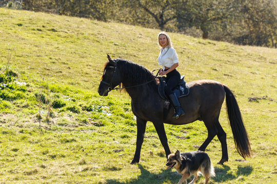 Young woman riding a black horse with her dog in a sunny countryside meadow