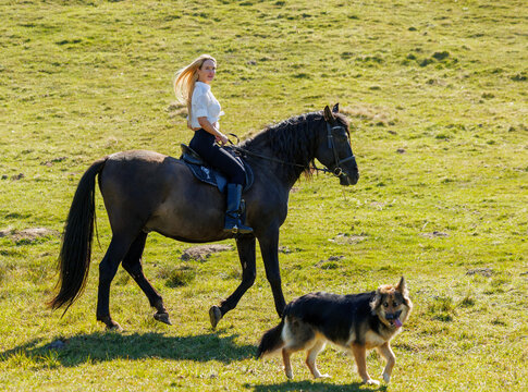 Young woman riding a black horse with her dog in a sunny countryside meadow