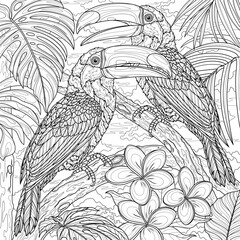 Fototapeta premium Two toucans in the jungle.Coloring book antistress for children and adults. 