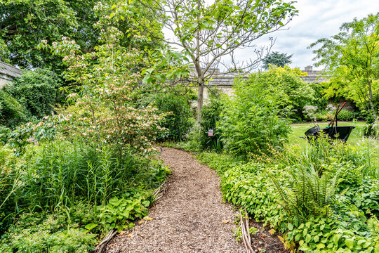 Lush vegetation in the University of Oxford Botanic Garden, the oldest botanic garden in Britain, founded in 1621, Oxford, England, UK. 