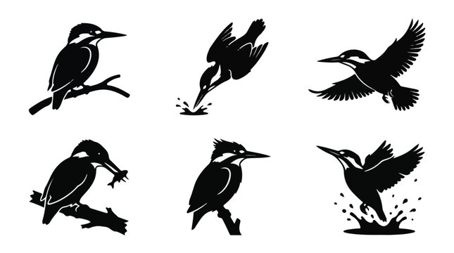 A set of six kingfisher bird silhouette vector icon illustrations on a white background
